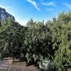 Metropole Apartments Central City