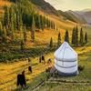 Dream Adventure Mongolia