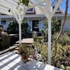 Cherry Villa