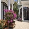 Mossly Resort Da Lat