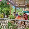 Blue Garden Homestay