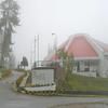 Pines Heritage