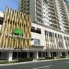 Jolgeous Staycations and Rentals