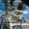 Shell Residences Tower A B