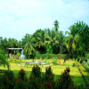 Horizon Grande by Metric Homes - Malvan