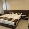 Sapphire M M Colony