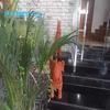Jayam Residency