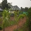 Bundeli Camps and Resorts, Panna
