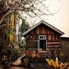 Yangsum Village Homestay
