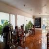 Willy's House