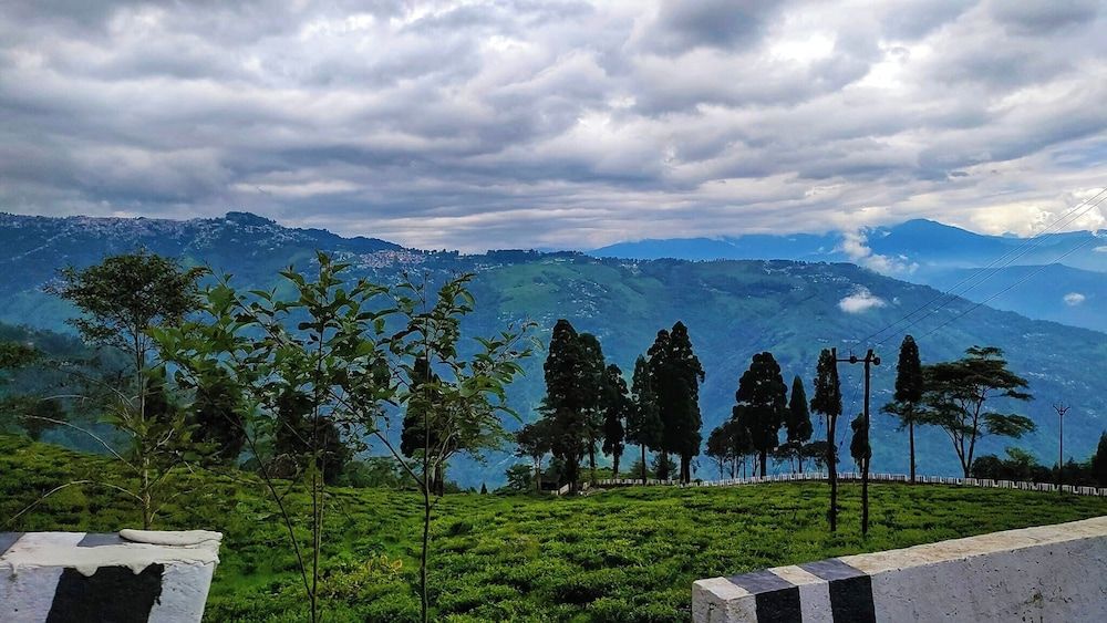 MountainBrew Homestay