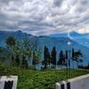 MountainBrew Homestay
