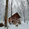 Les Cabines Nordik 2.0