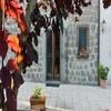 B&B Paternocchio