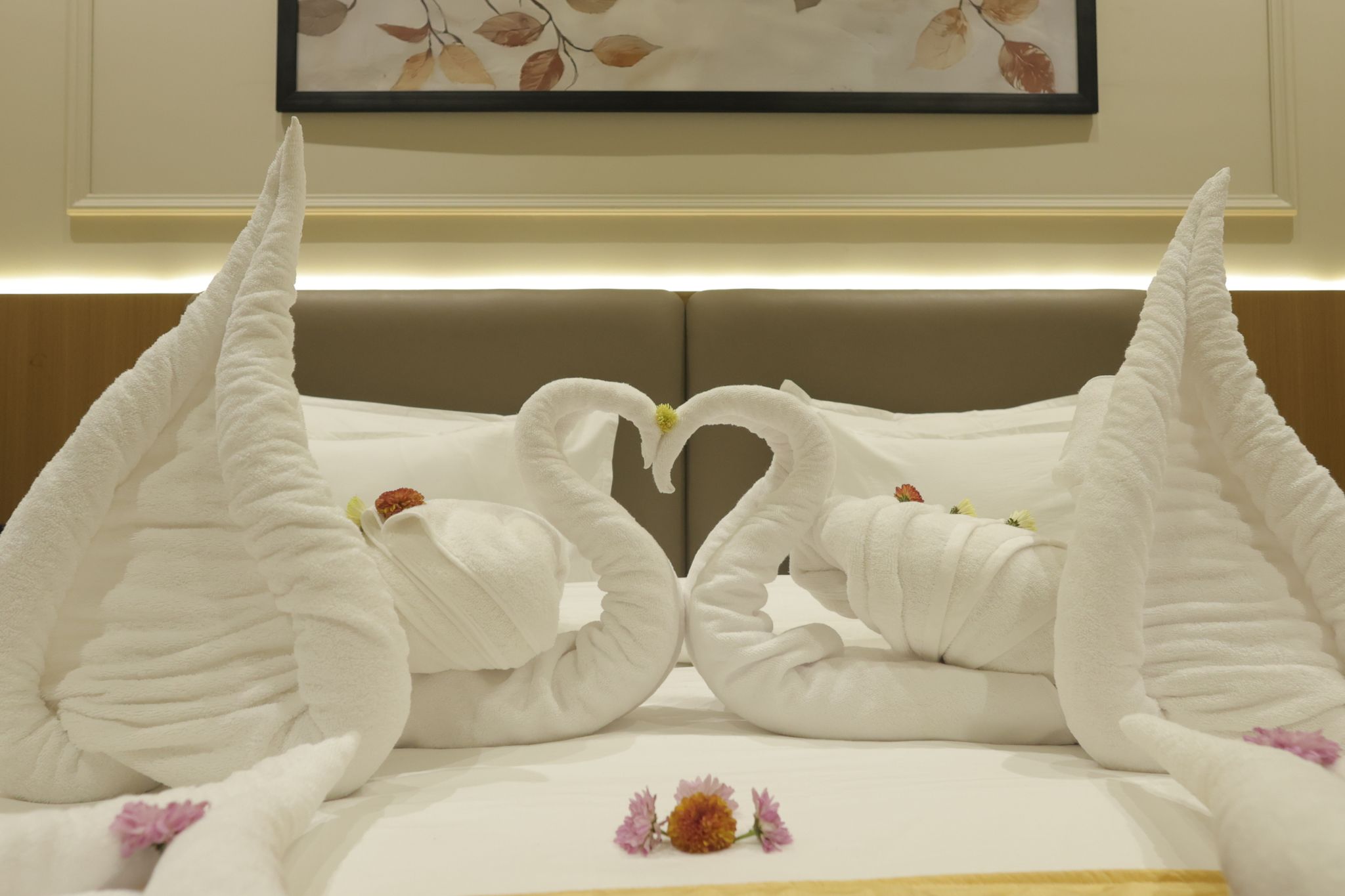 Suite Room