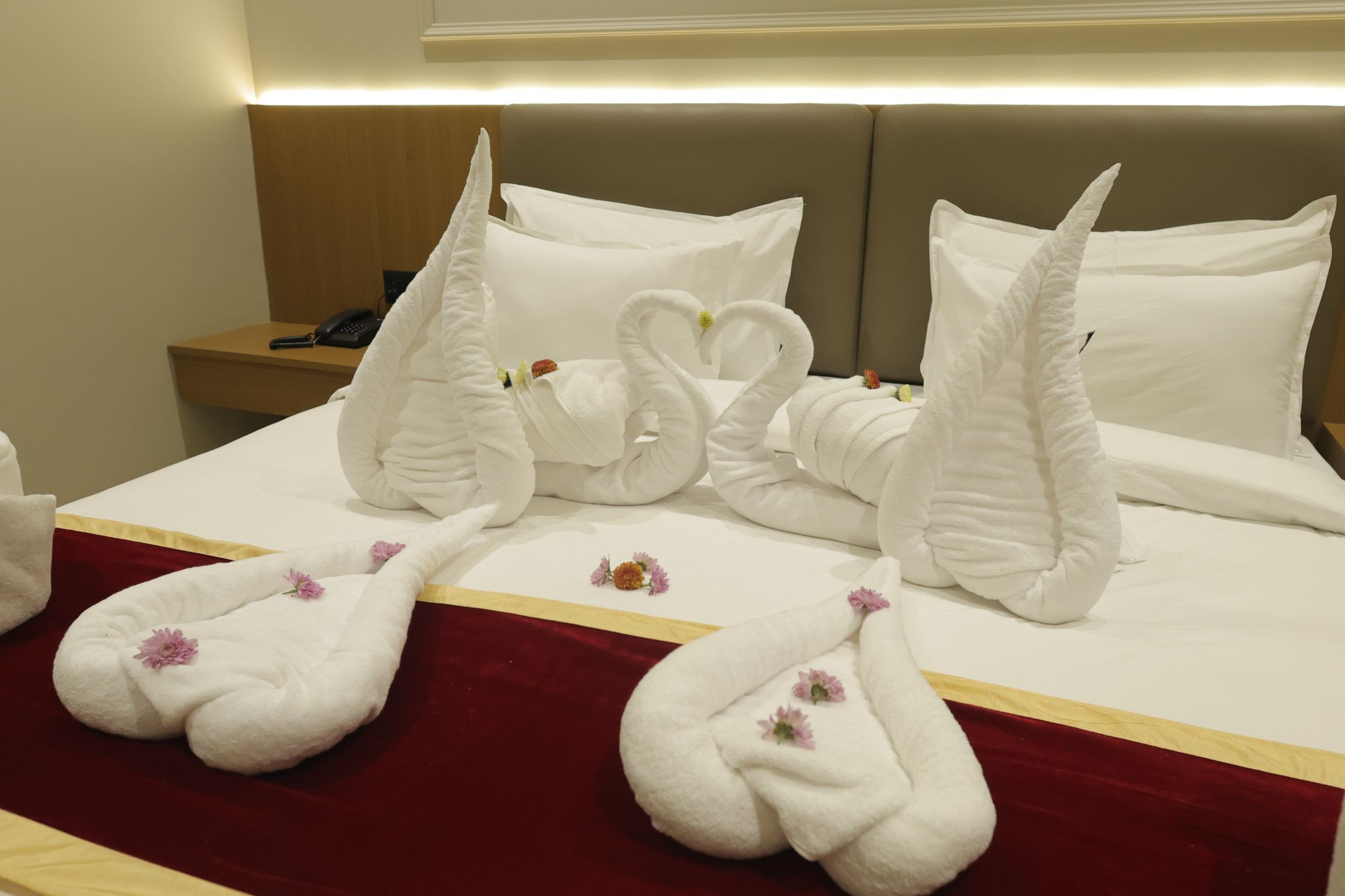 Suite Room
