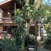 Patio Caicara, Hospedagem, Eventos , Recepcoes