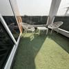 StayMoodyy - Netherlands Themed Studio with Bath T