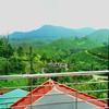 Rockstar resort Vagamon 