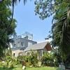 The Silver Palm