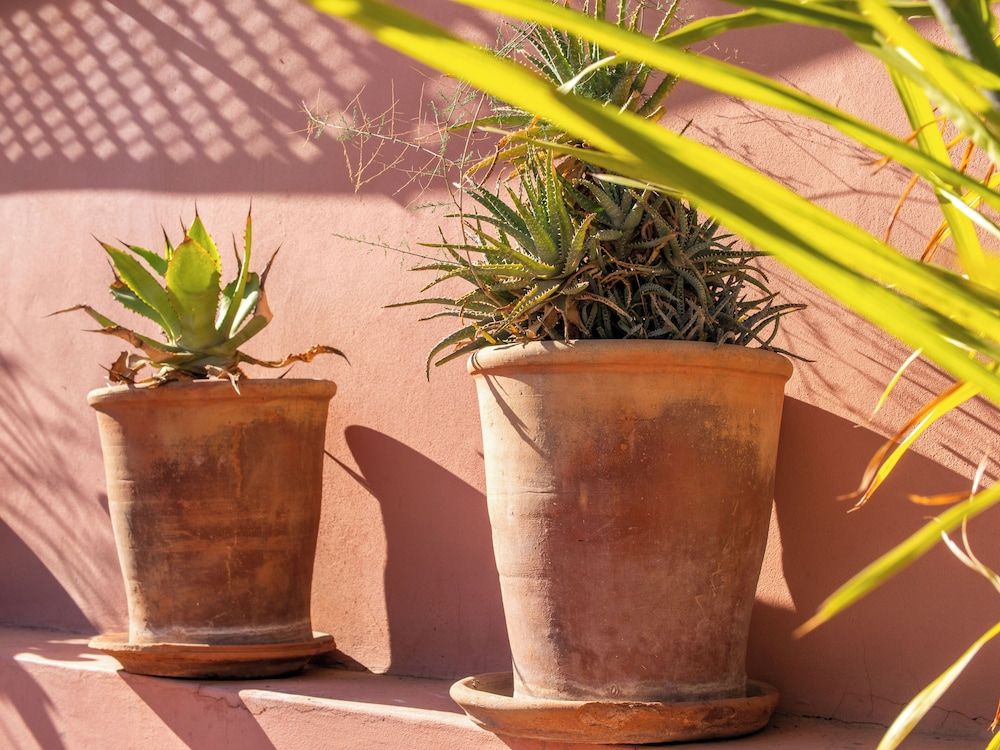 undefined Riad Tahani 7