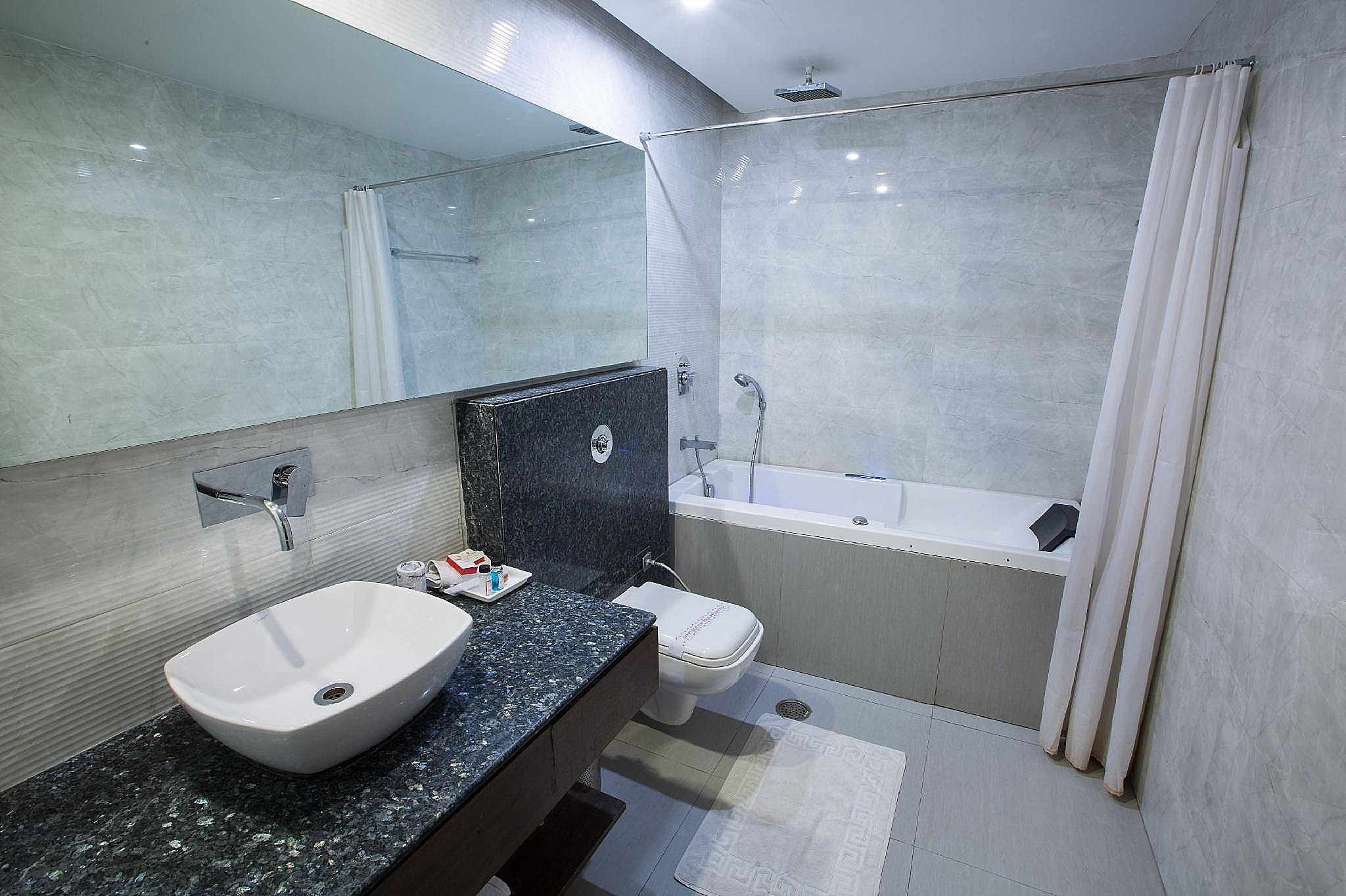 Hotel Narula's Aurrum Deluxe Double or Twin Room 6