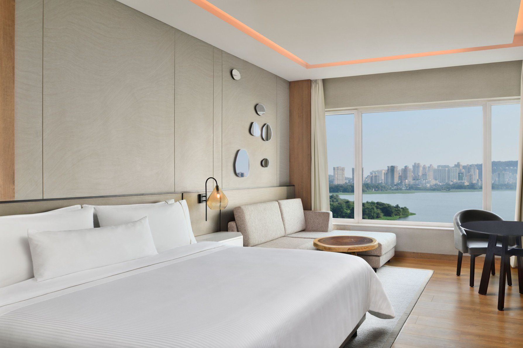 Large Guest Room, One King Bed