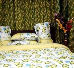 The Amarjeet Hotel Standard Deluxe Room 2