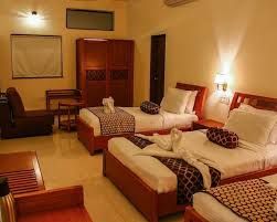 Hotel Krishna Park Resort Executive Room 6