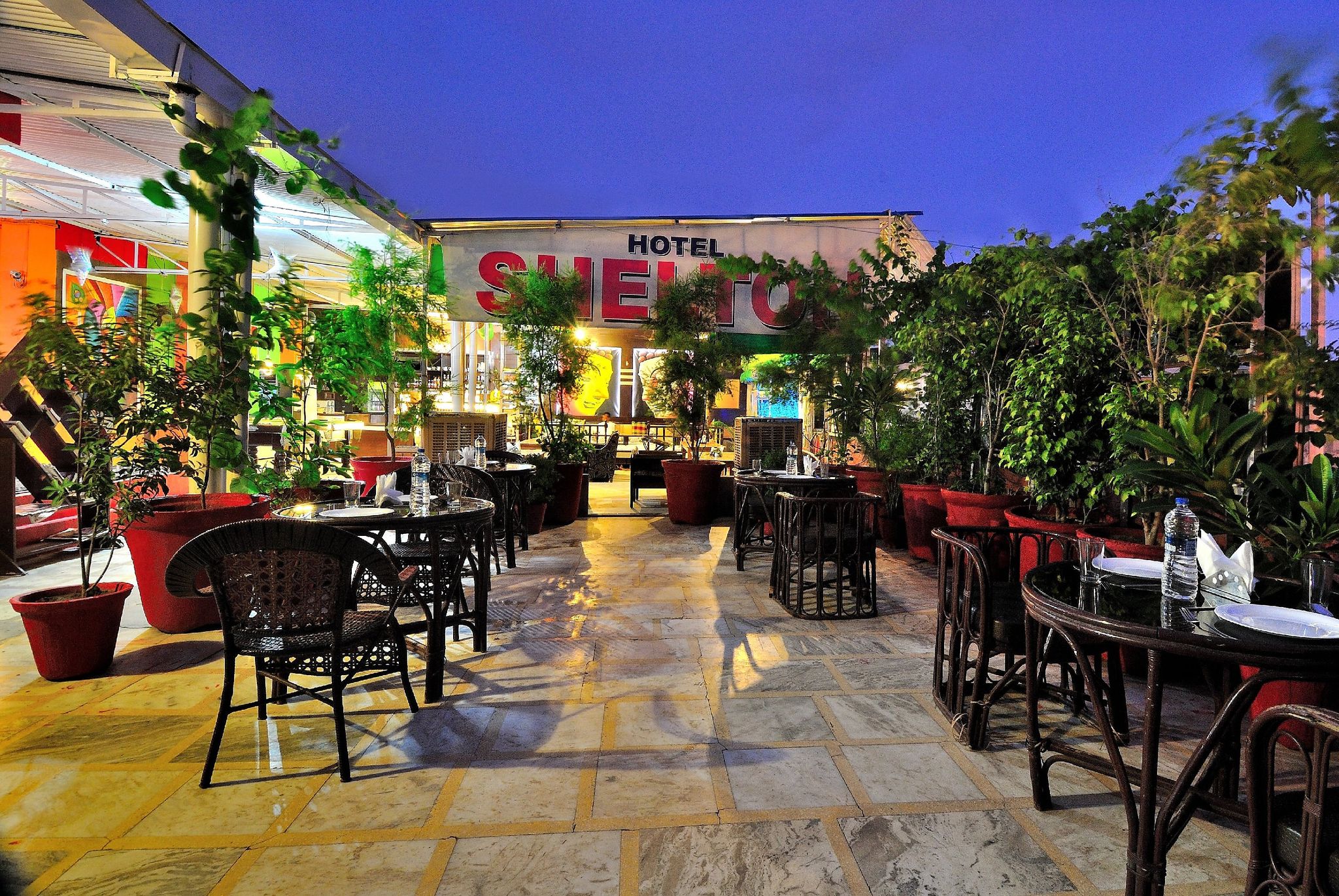 undefined Hotel Shelton 8