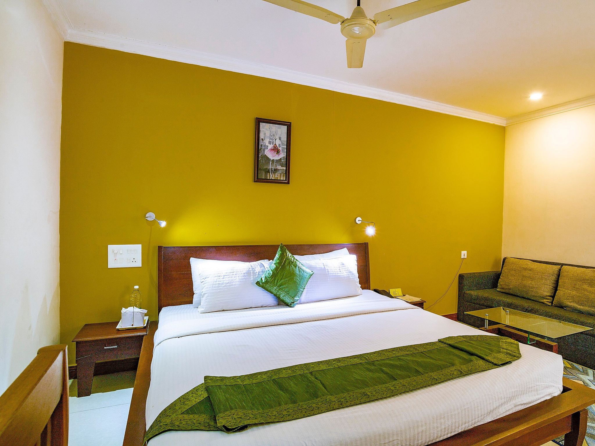 Hotel Pearl Palace Executive Double Room 10
