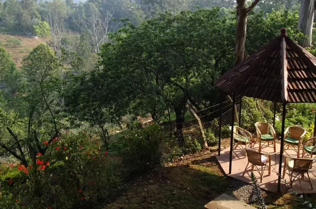 undefined Neemrana Wallwood Garden 4