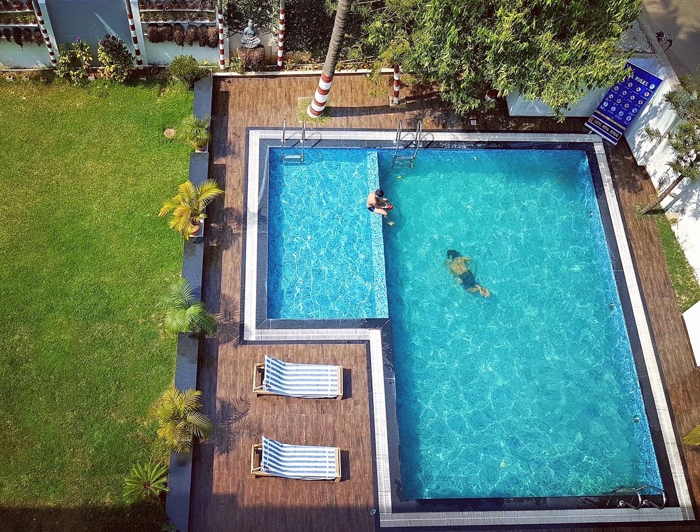 undefined The Royal bengal 4