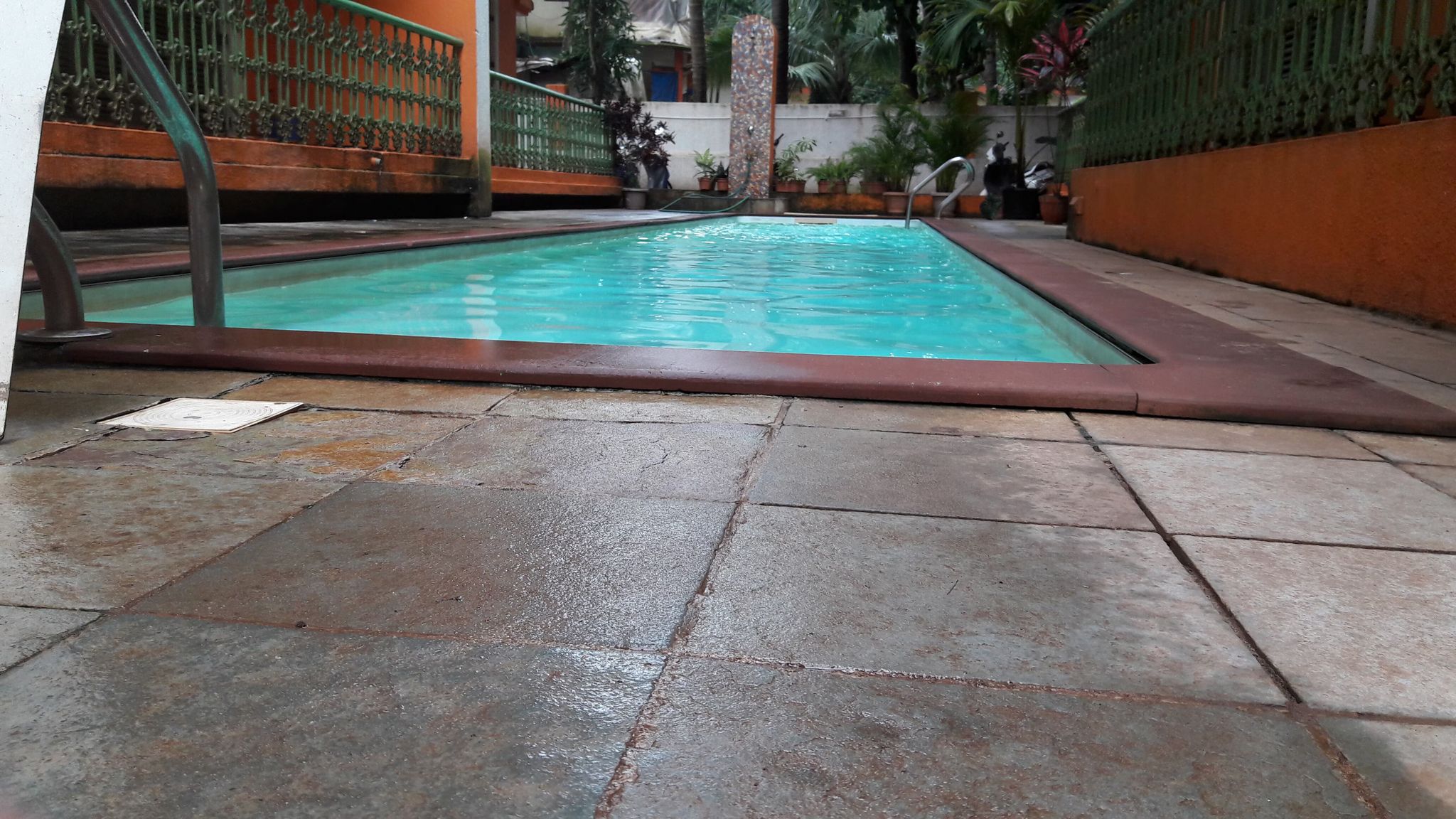 undefined Smiley Holidays 4