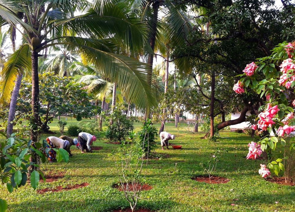 Garden