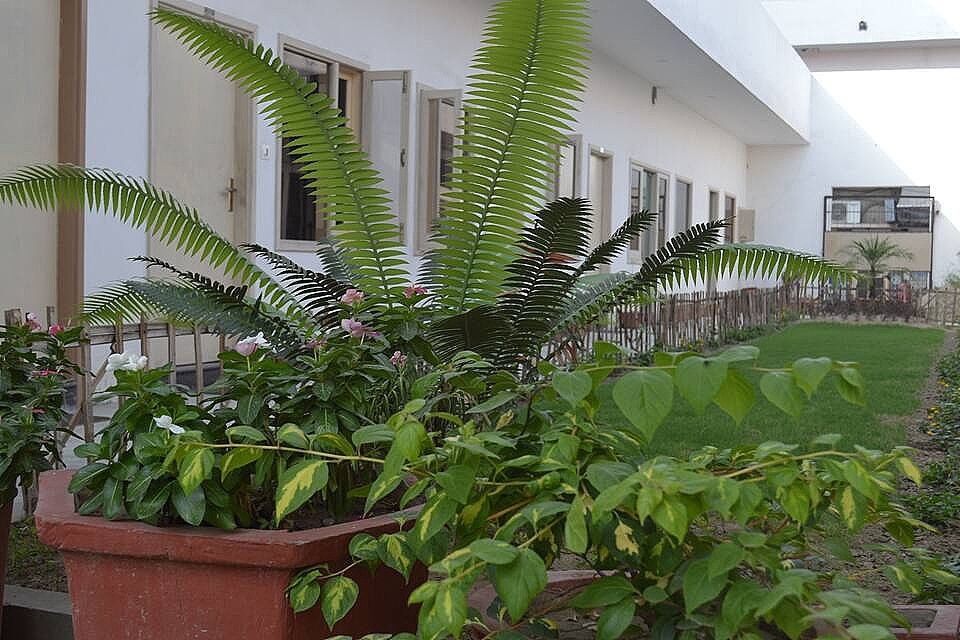 undefined Hotel Palace 7