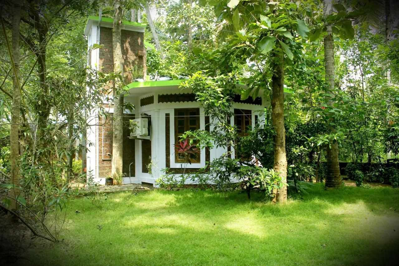 undefined Jickys Nest 4