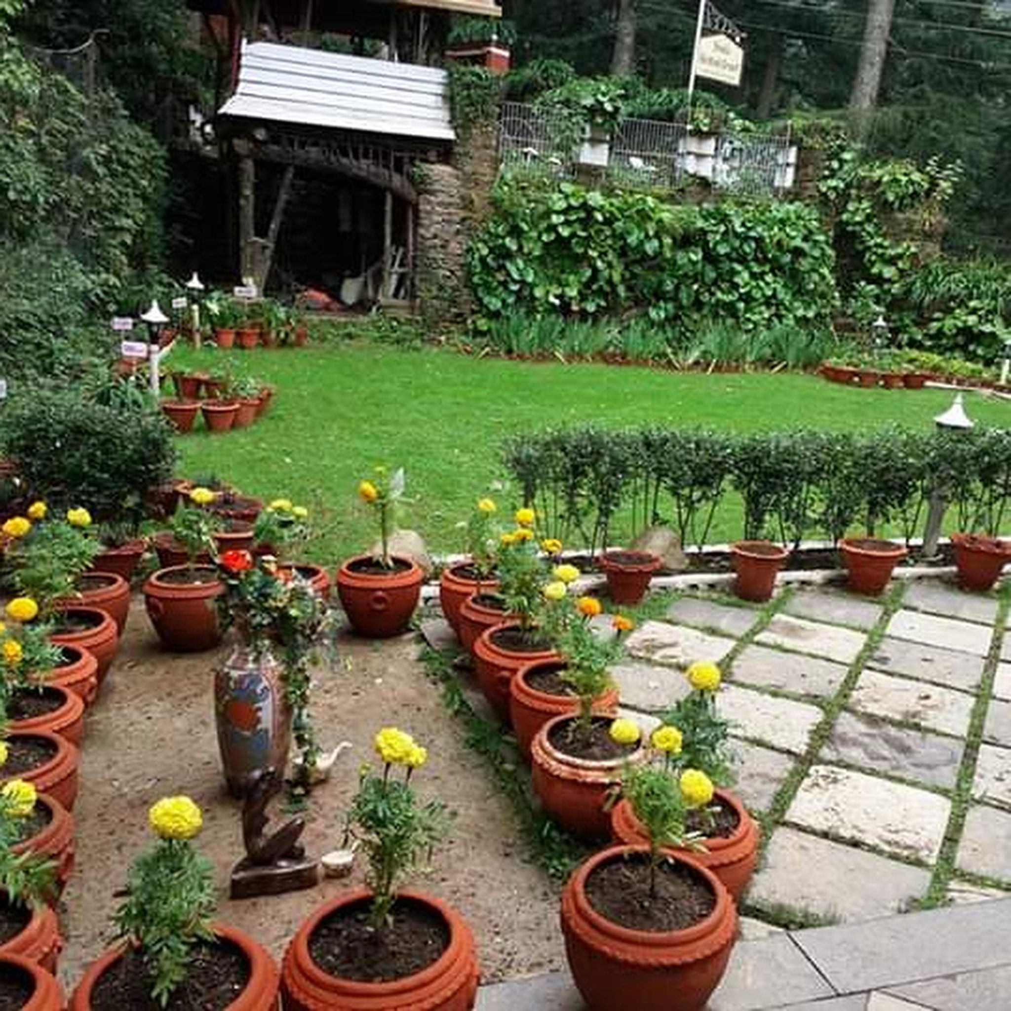 undefined Shimla British Resort 10