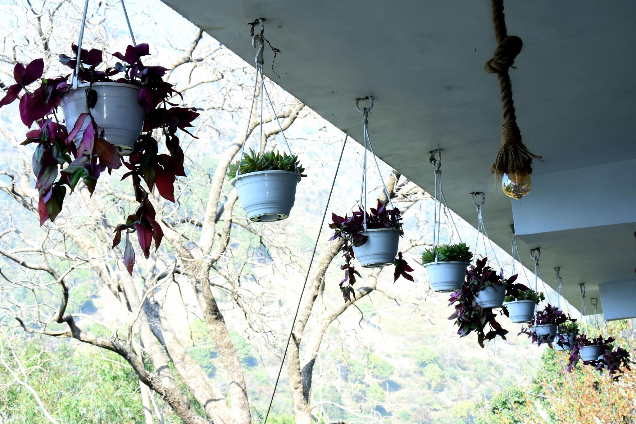 Premium Room (Lake Facing)