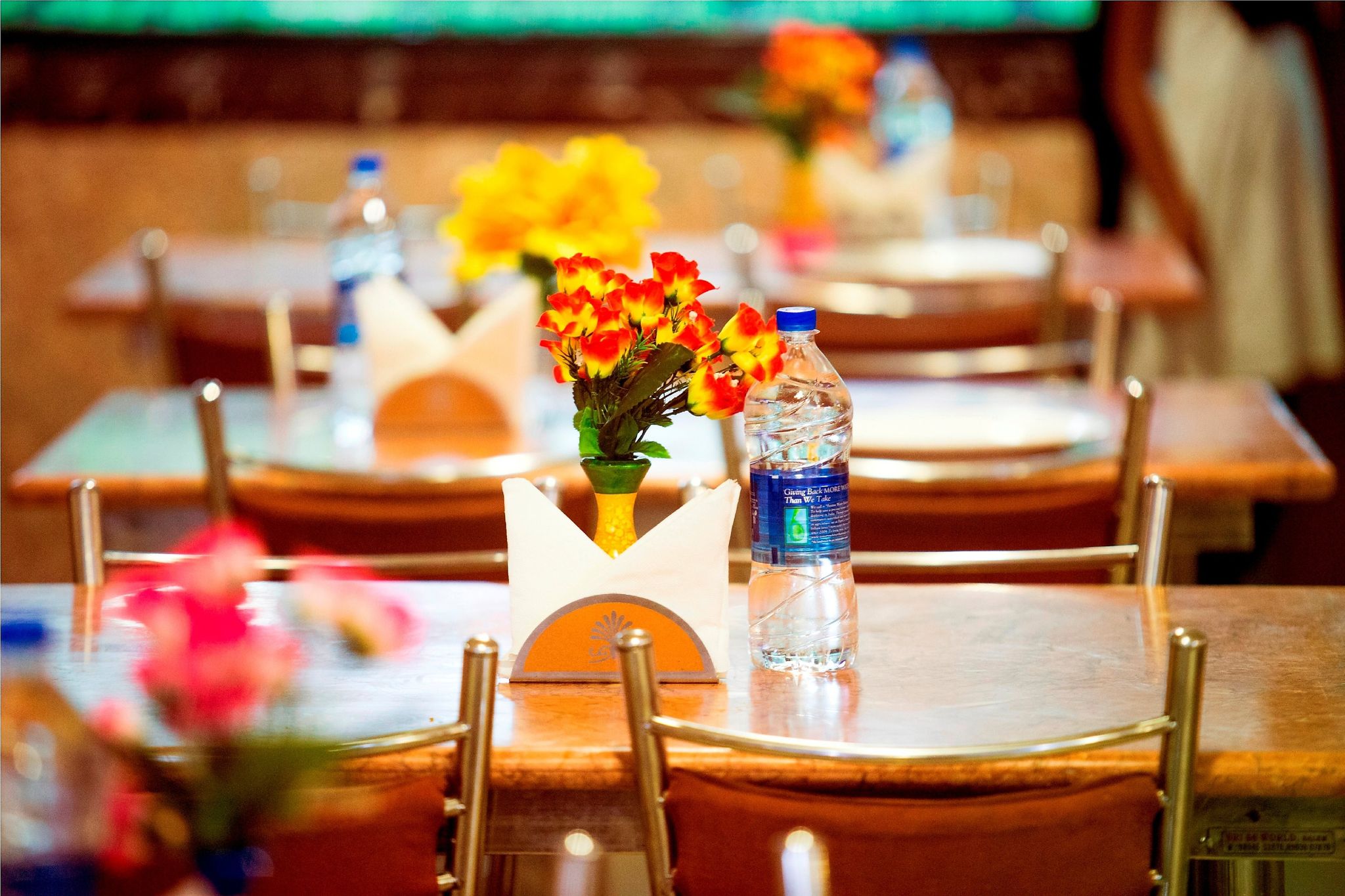 undefined Amrs Evergreen - Duplicate 8