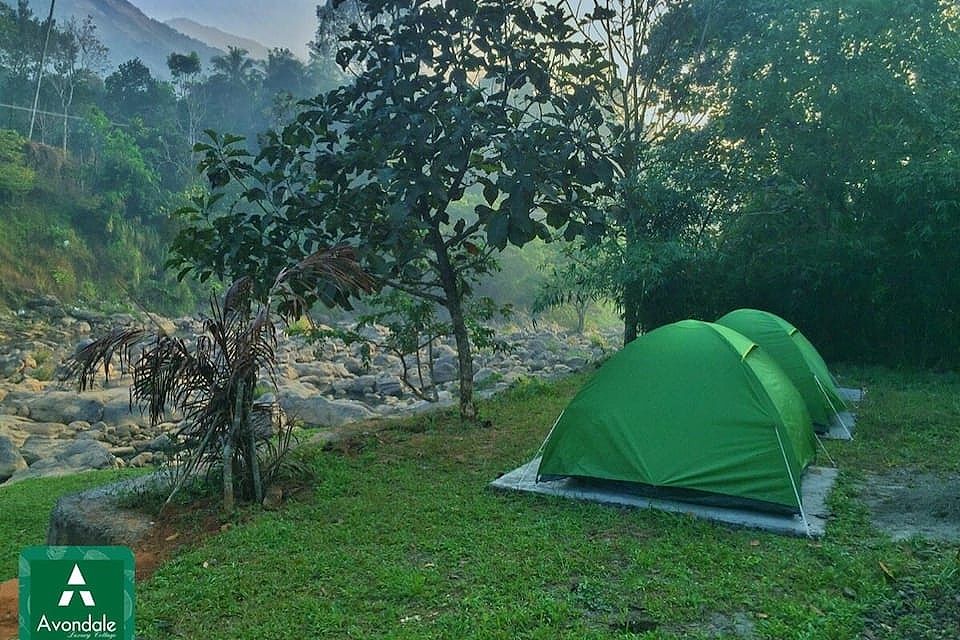 Tent View