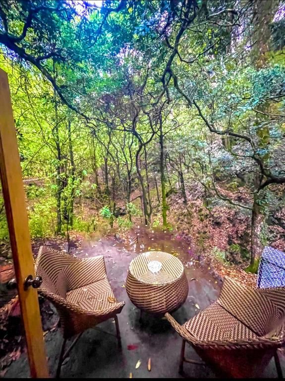 Ayar Jungle Resort Premium Cottage 11