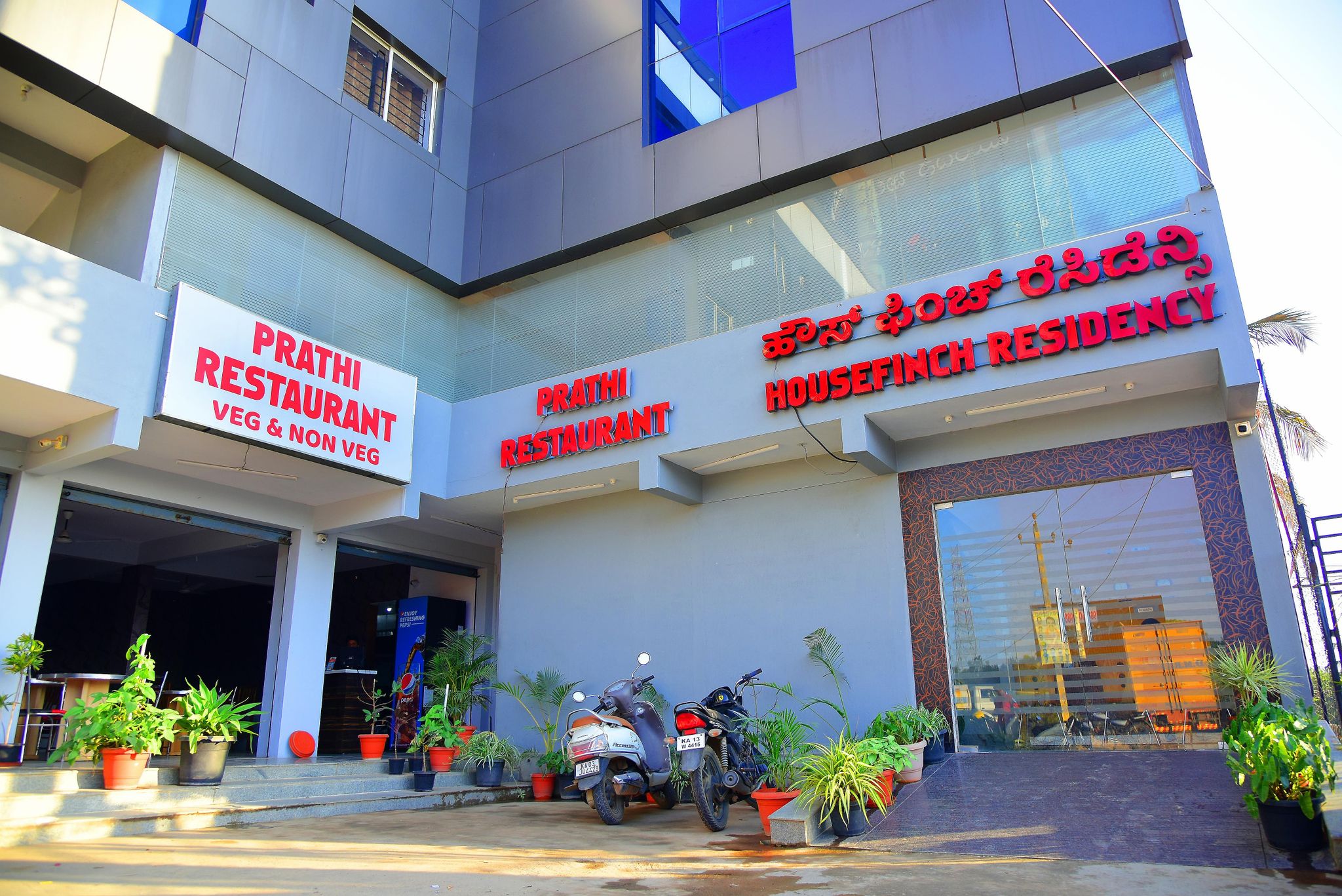 undefined Housefinch Residency 6