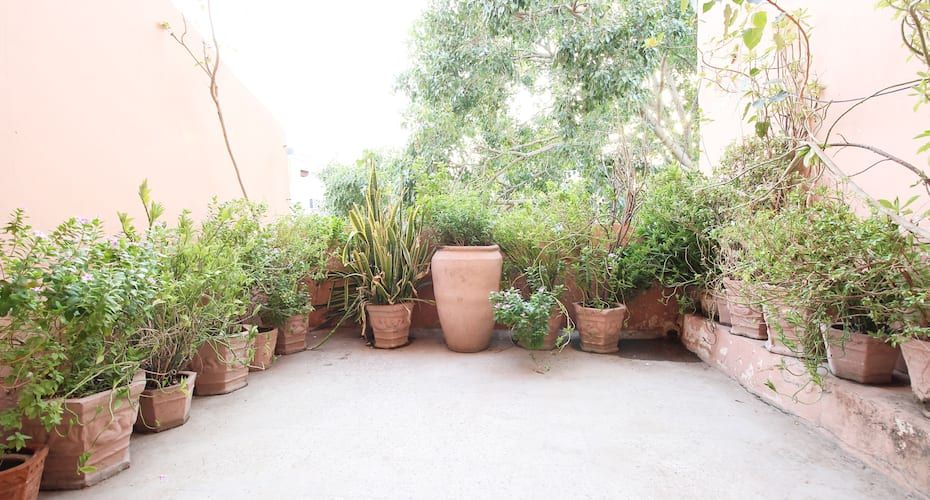 undefined Hotel Dimple International 10