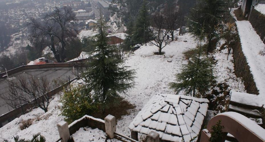 Winter View