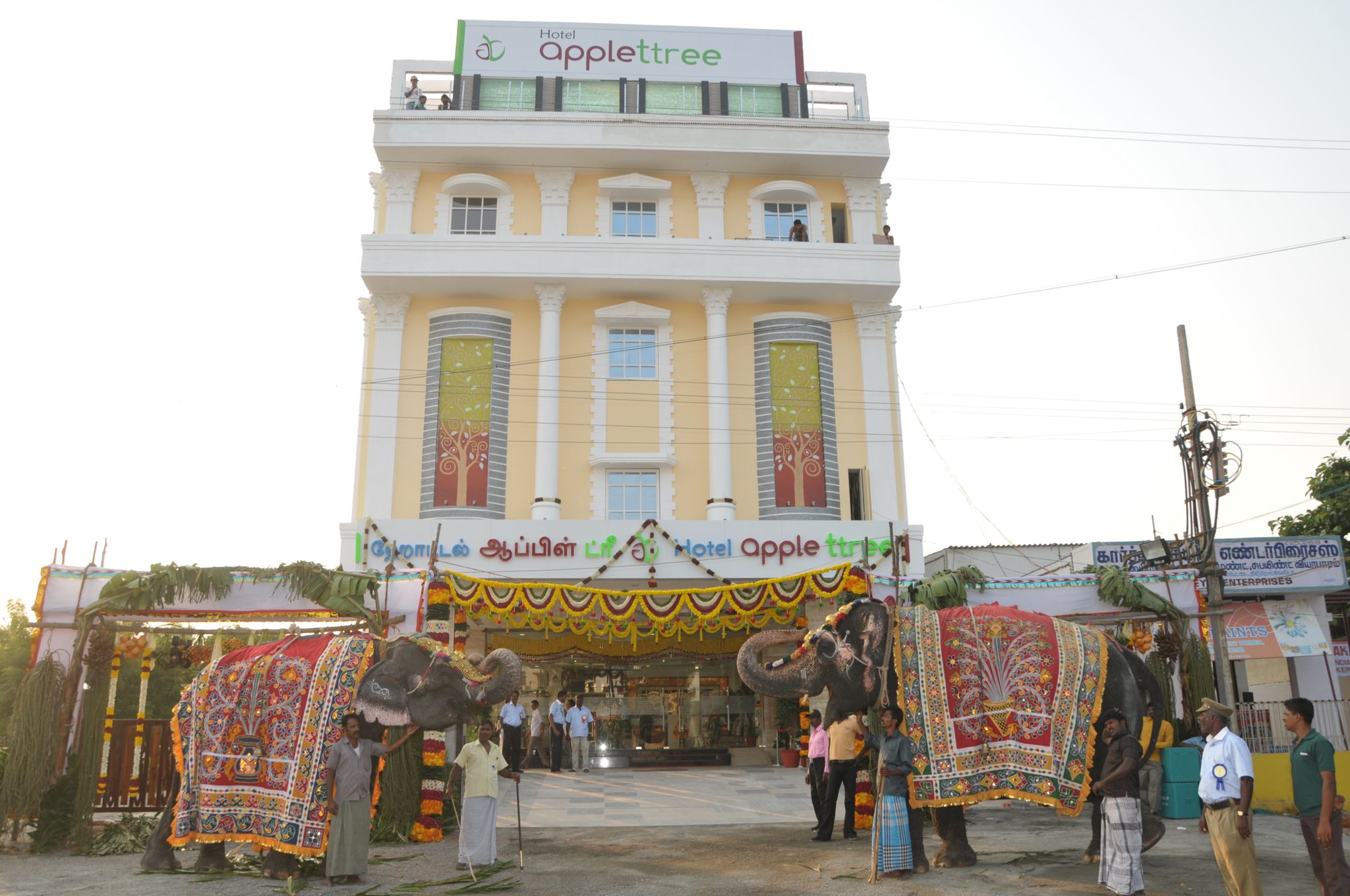undefined Hotel Apple Ttree 7