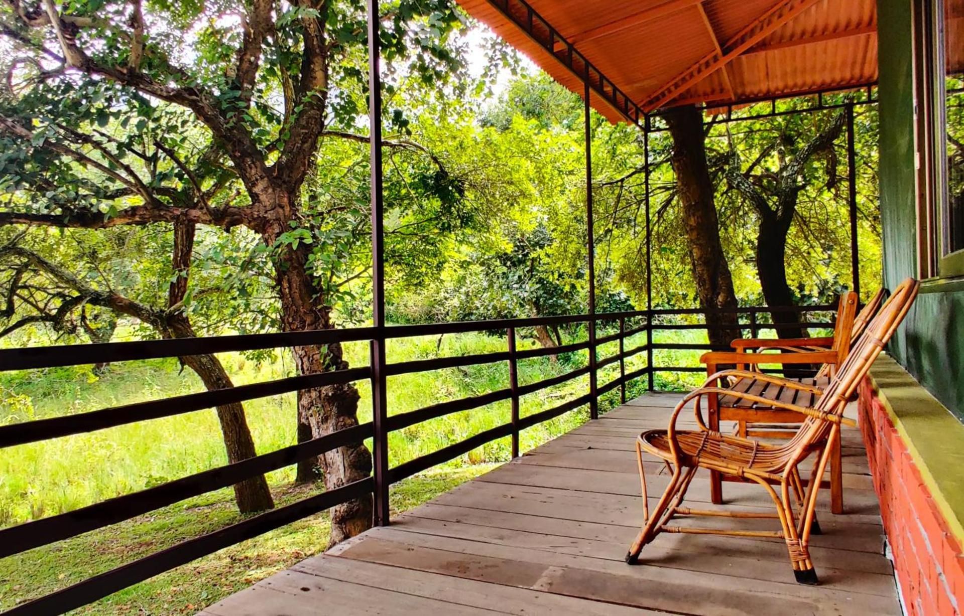 Jungle Hut, Masinagudi Standard Room 3