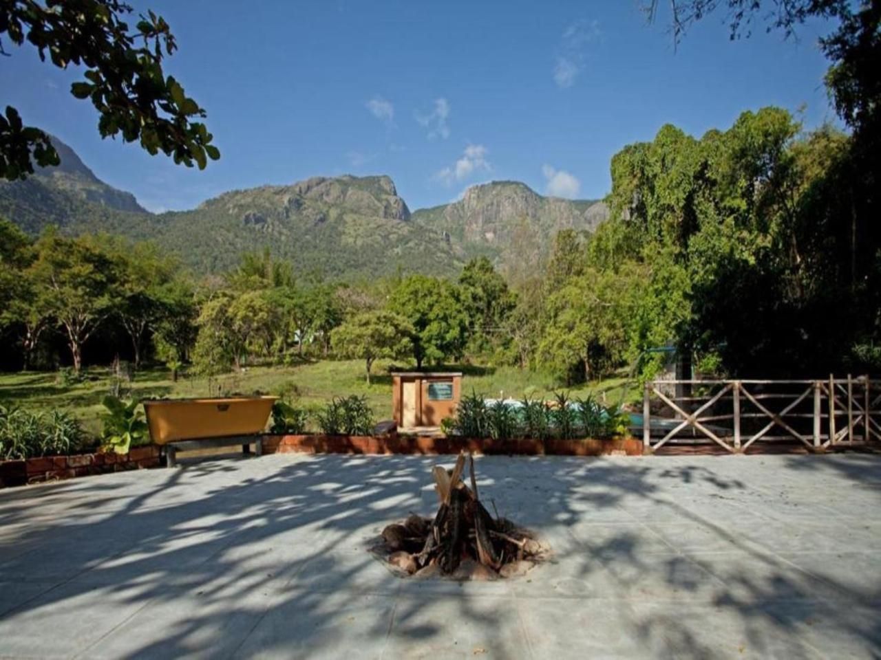 Primary Image