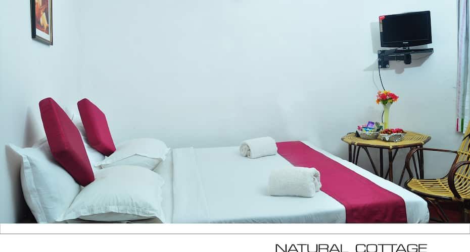 Punarjani Ayurvedic Resorts Natural Hut 2