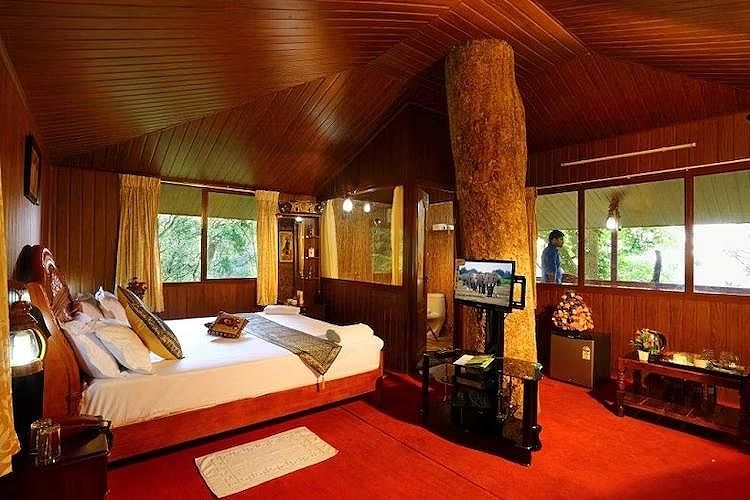 Tree House